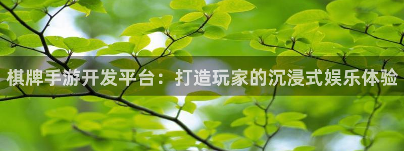 pc完美电竞预测吧:棋牌手游开发平台:打造玩家的沉浸式娱乐体