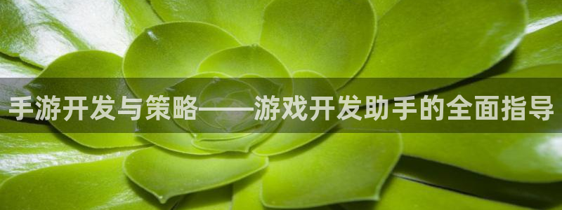 28大神零一预测:手游开发与策略——游戏开发助手的全面指导