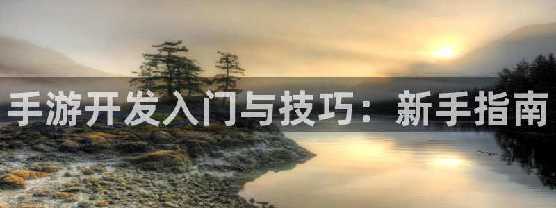 28大神预测吧:手游开发入门与技巧:新手指南