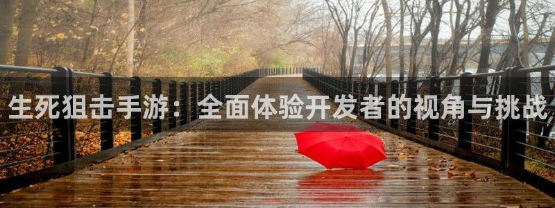 28大神苹果在线安装：生死狙击手游：全面体验开发者的视角与挑