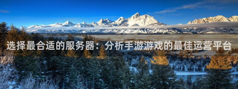28大神预测破解版：选择最合适的服务器：分析手游游戏的最佳运