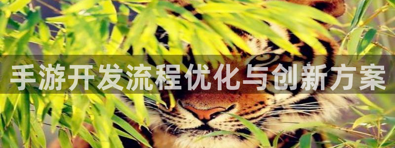 28大神官方开奖：手游开发流程优化与创新方案