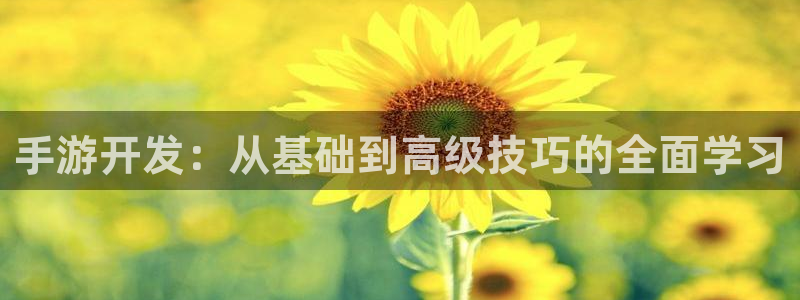 28大神结果查询：手游开发：从基础到高级技巧的全面学习