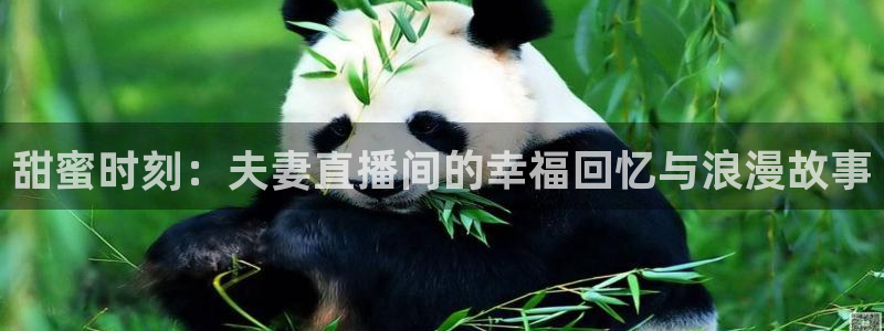 直播吧ufc体育直播：甜蜜时刻：夫妻直播间的幸福回忆与浪漫故事