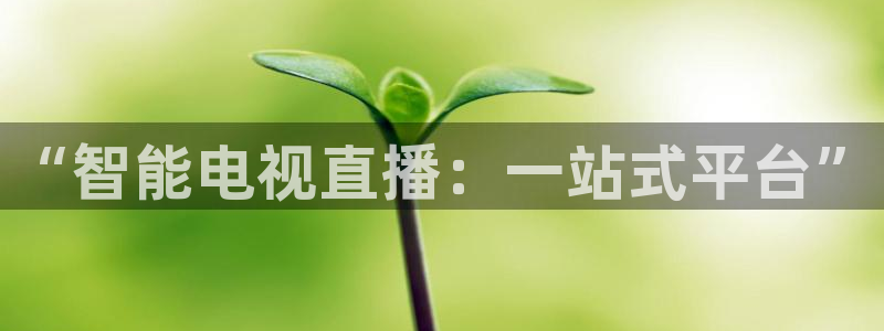 360直播网足球直播nba直播吧：“智能电视直播：一站式平台”