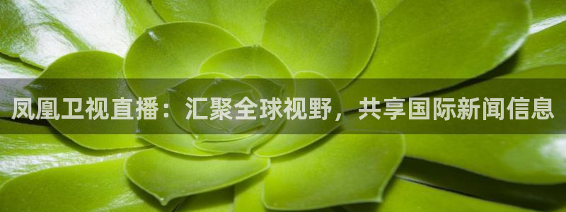 nba直播极速体育直播吧：凤凰卫视直播：汇聚全球视野，共享国际新闻信息