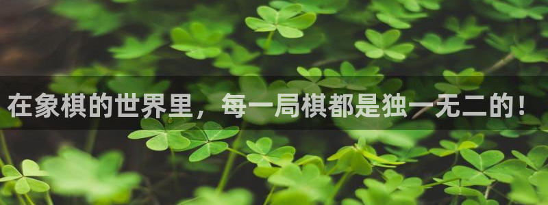 55直播体育直播吧：在象棋的世界里，每一局棋都是独一无二的！