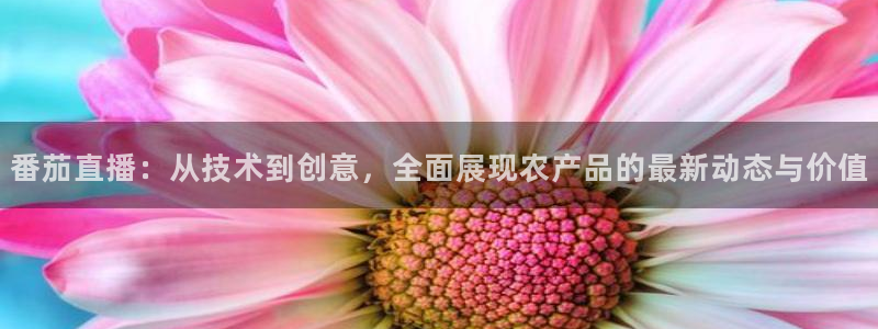 人人体育直播吧：番茄直播：从技术到创意，全面展现农产品的最新动态与价值